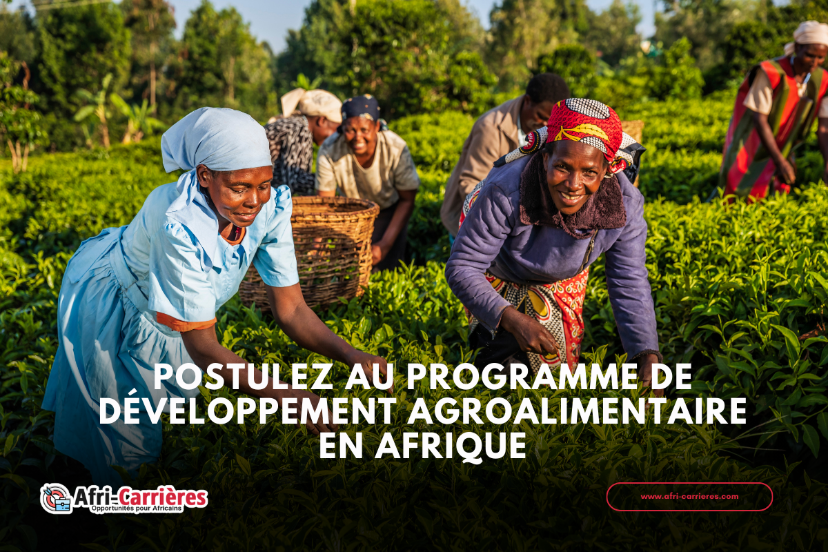 Africa Agri-Food Development Progamme
