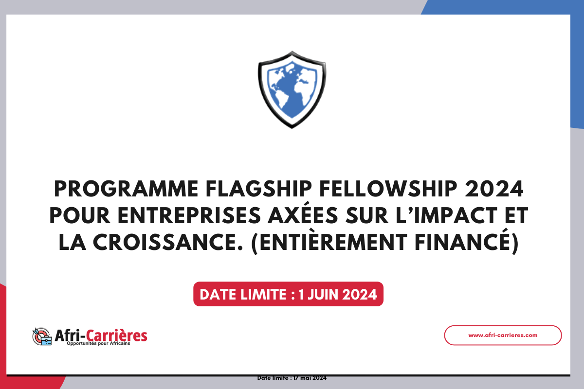 Programme Flagship Fellowship