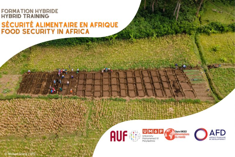  Lancement du programme de formation sur la Sécurité Alimentaire en Afrique 2024
