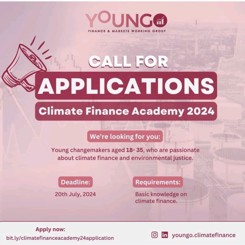 Les candidatures pour la YOUNGO Climate Finance Academy 2024 sont maintenant ouverte (Entièrement financé )