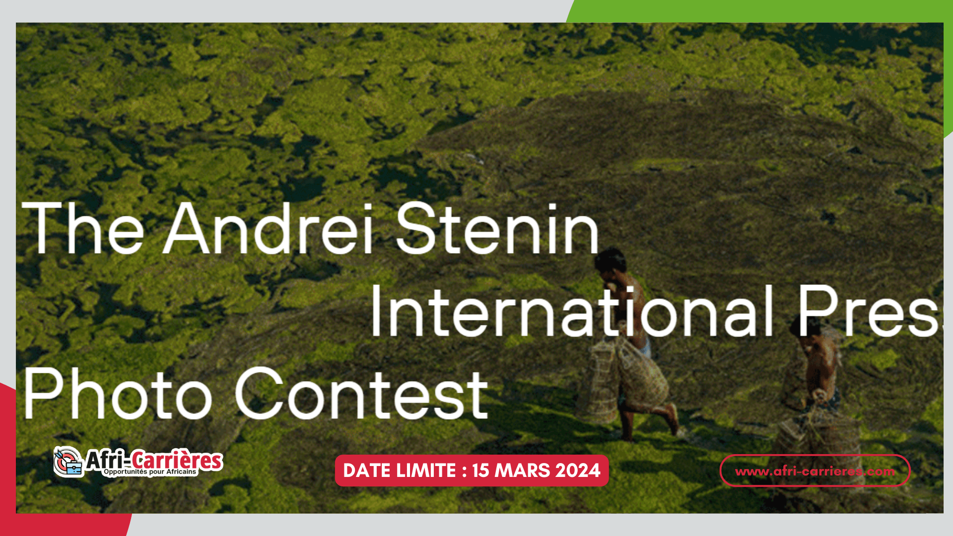 Concours de Photo Andrei Stenin