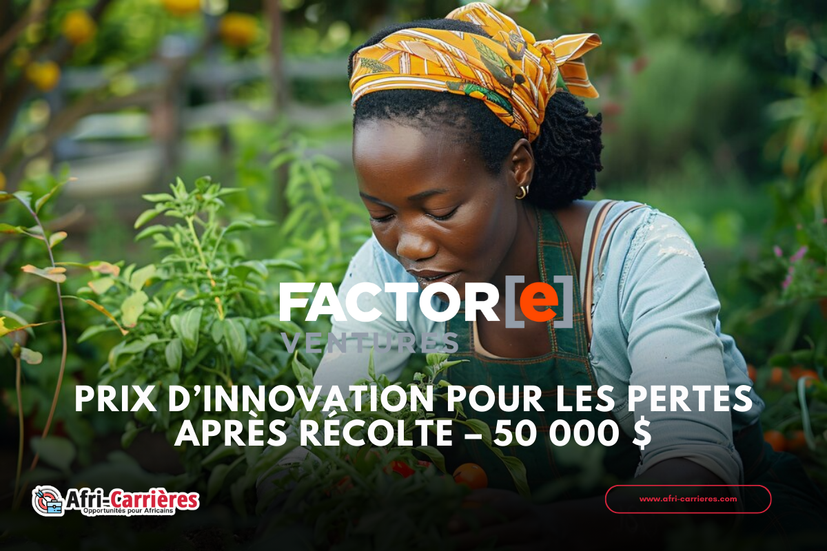 Prix ​​d’innovation pour les pertes après récolte – 50 000 $