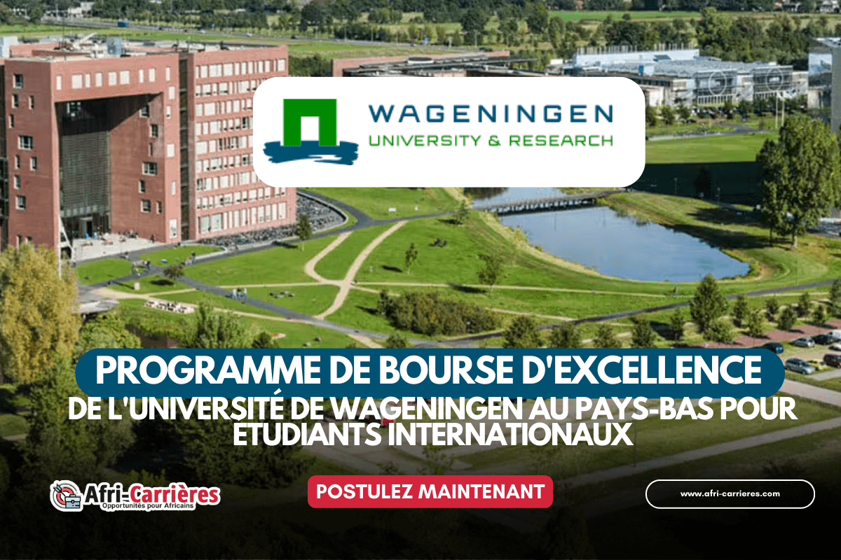 Programme d'excellence de Master 2025 au Pays Bas