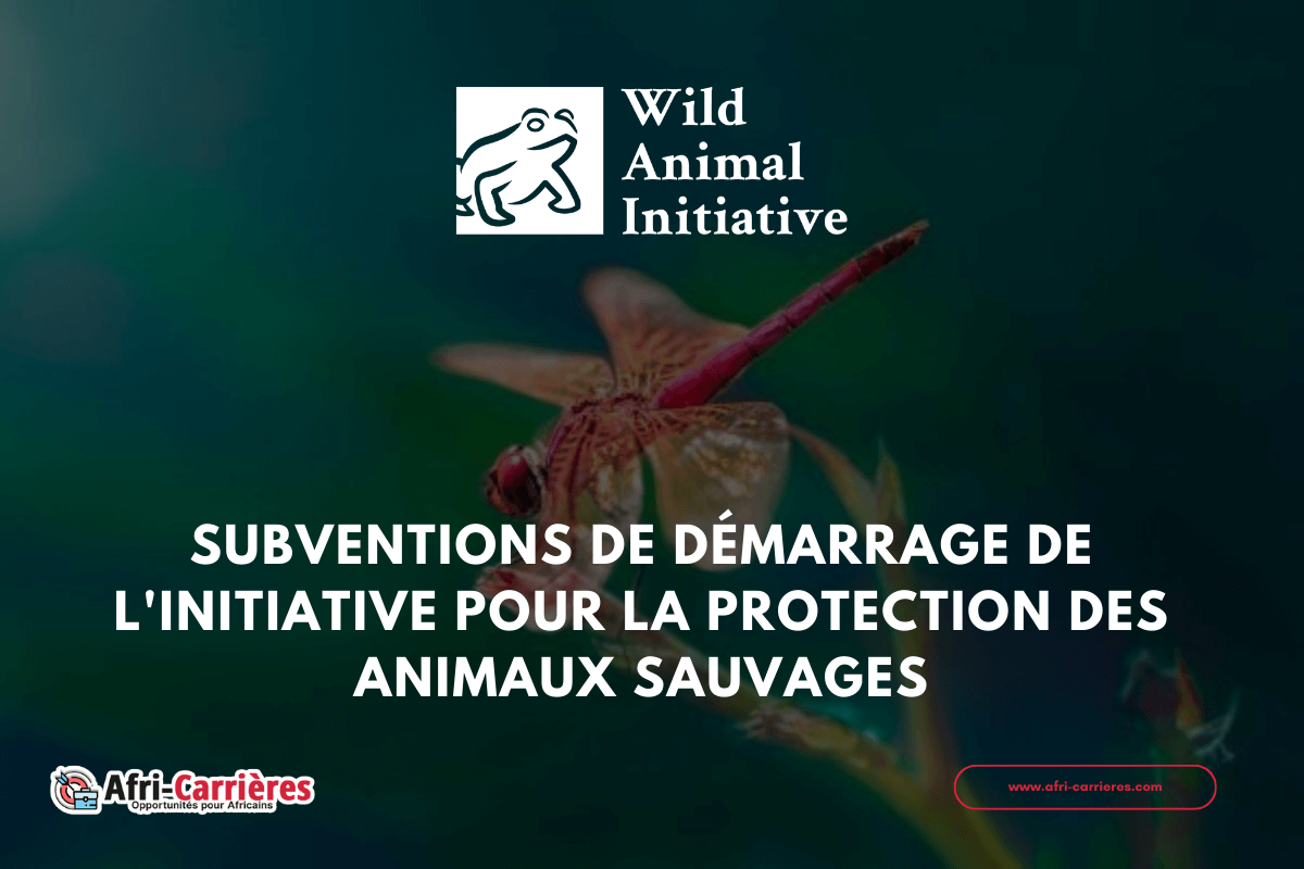 programme de subventions Wild Animal Initiative