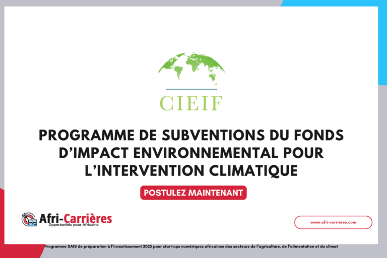 Programme de subventions du Fonds d’impact environnemental pour l’intervention climatique