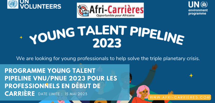 Programme Young Talent Pipeline VNUPNUE 2023 pour les professionnels en début de carrière (1)