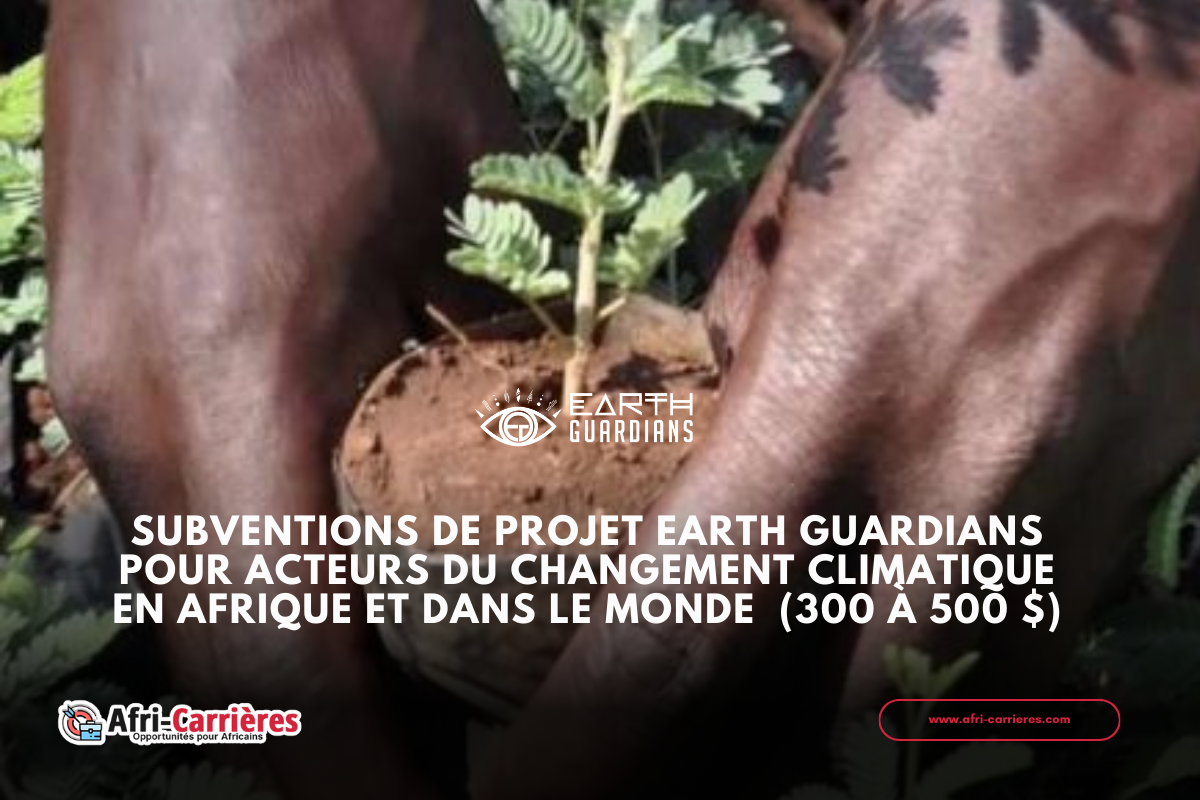 Subventions de Projet Earth Guardians pour acteurs du changement climatique en Afrique et dans le monde