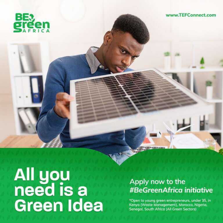 BEGREEN AFRICA Programme 2025 de Fondation Tony Elumelu