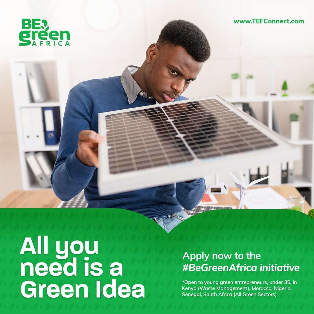 BEGREEN AFRICA Programme 2025 de Fondation Tony Elumelu