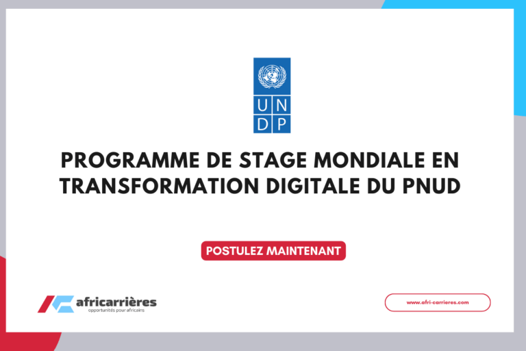 Programme Mondiale de Stage Transformation Digitale 2025 du PNUD