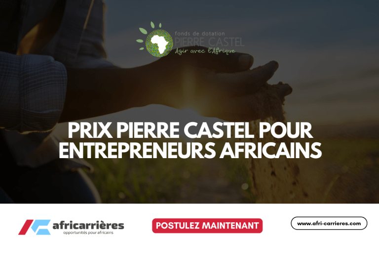 Prix Pierre Castel 2025 pour entrepreneurs africains