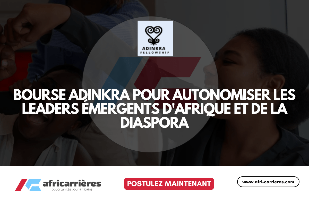 Bourse Adinkra 2025 pour autonomiser les leaders émergents d'Afrique et de la Diaspora