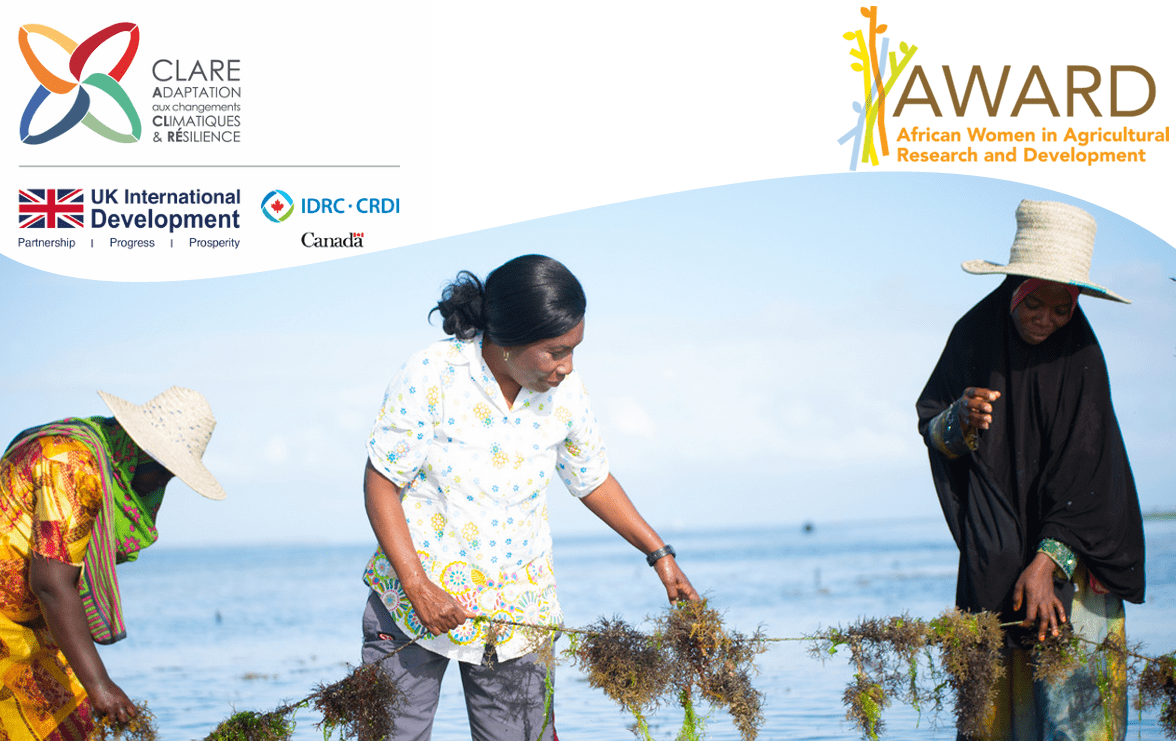 Programme d’AWARD sur l’action climatique (AWARD Climate Action Fellowship,  ACA)