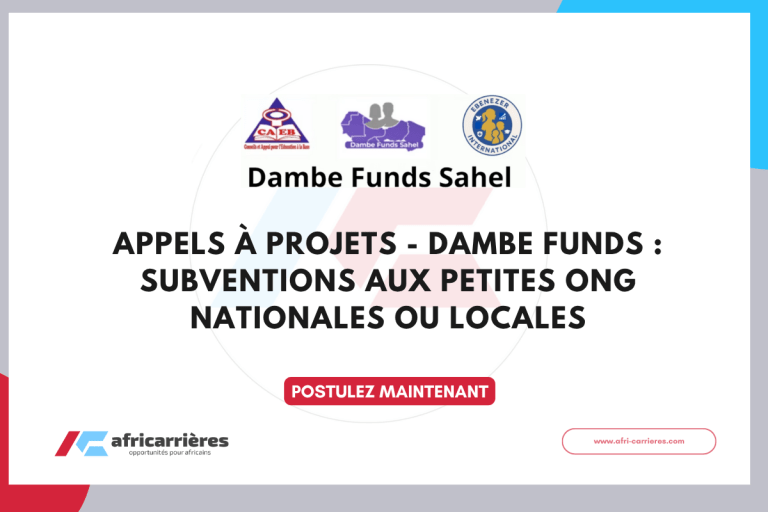 Appels à projets - Dambe Funds : Subventions aux petites ONG nationales ou locales