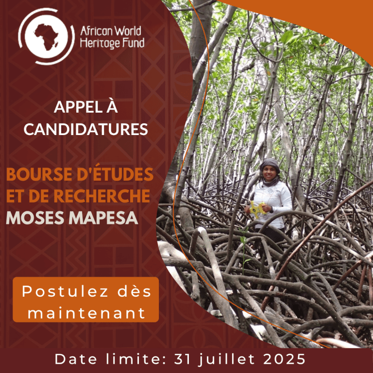 Appel à candidatures : Bourse Moses Mapesa pour l’éducation et la recherche