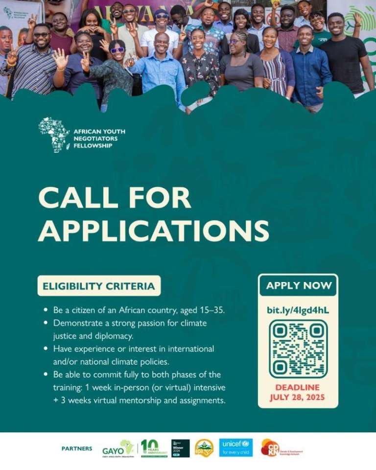 Appel à candidature : Africa Youth Negotiators Fellowship (AYNF)  2025