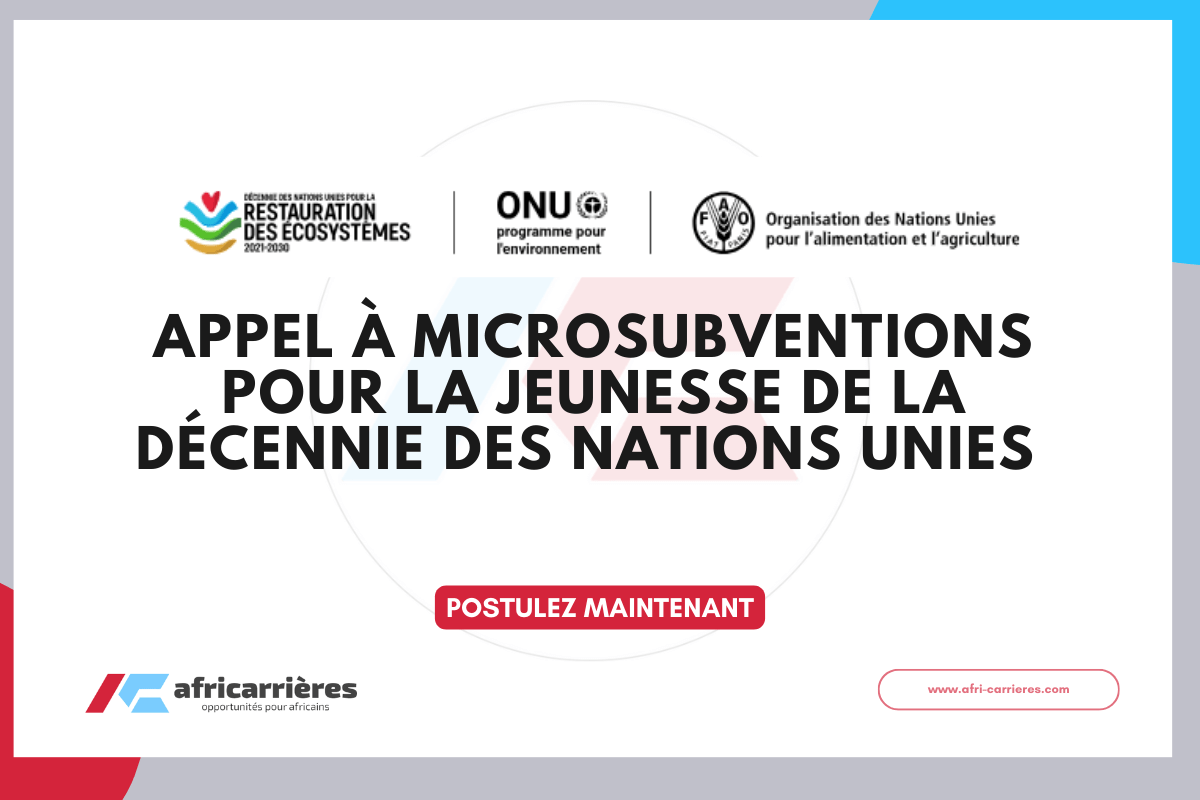 Appel à Microsubventions pour la Jeunesse de la Décennie des Nations Unies 2026