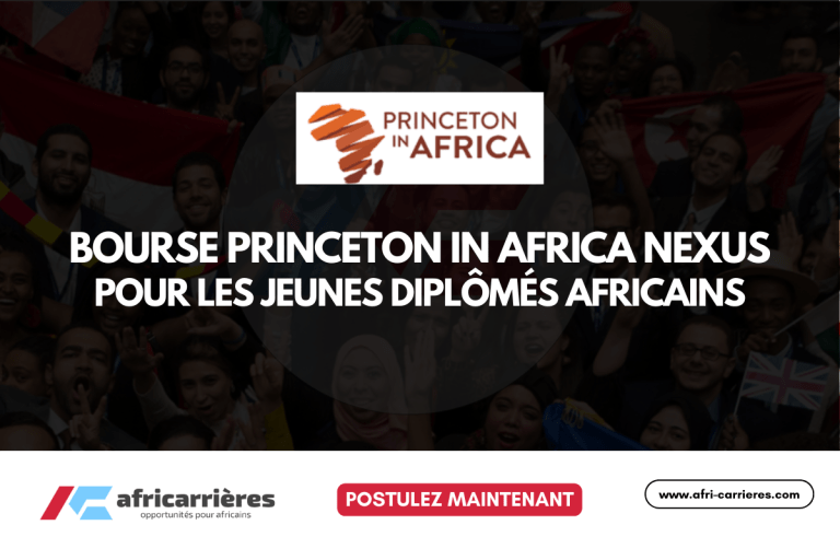 Programme de Bourse Princeton in Africa Nexus 2026/2027 pour les jeunes diplômés africains