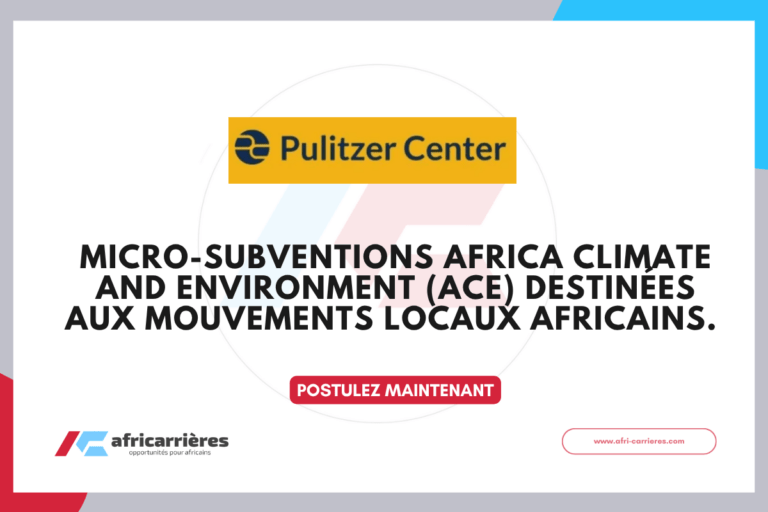 Programme ACE Microgrants 2026 pour organisation locale en Afrique