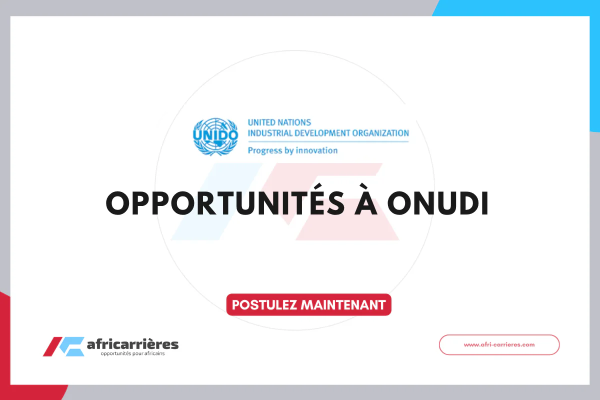 Opportunités et Offres ONUDI
