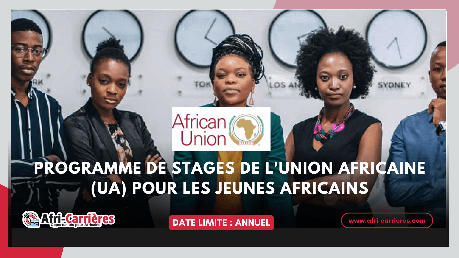 Programme de stages de l'Union africaine
