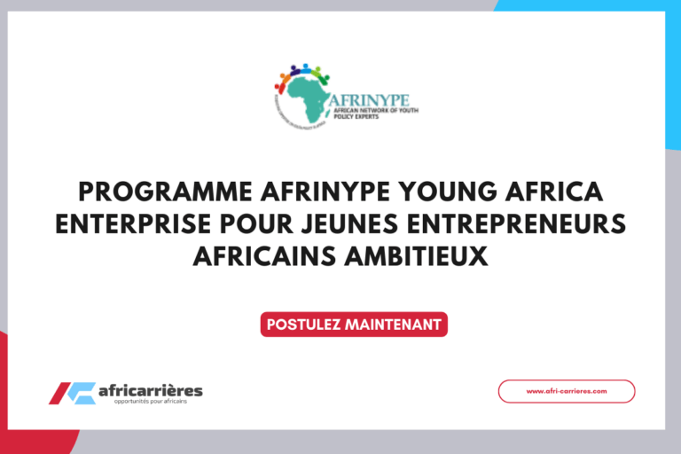 Programme AFRINYPE Young Africa Enterprise pour jeunes entrepreneurs Africains ambitieux
