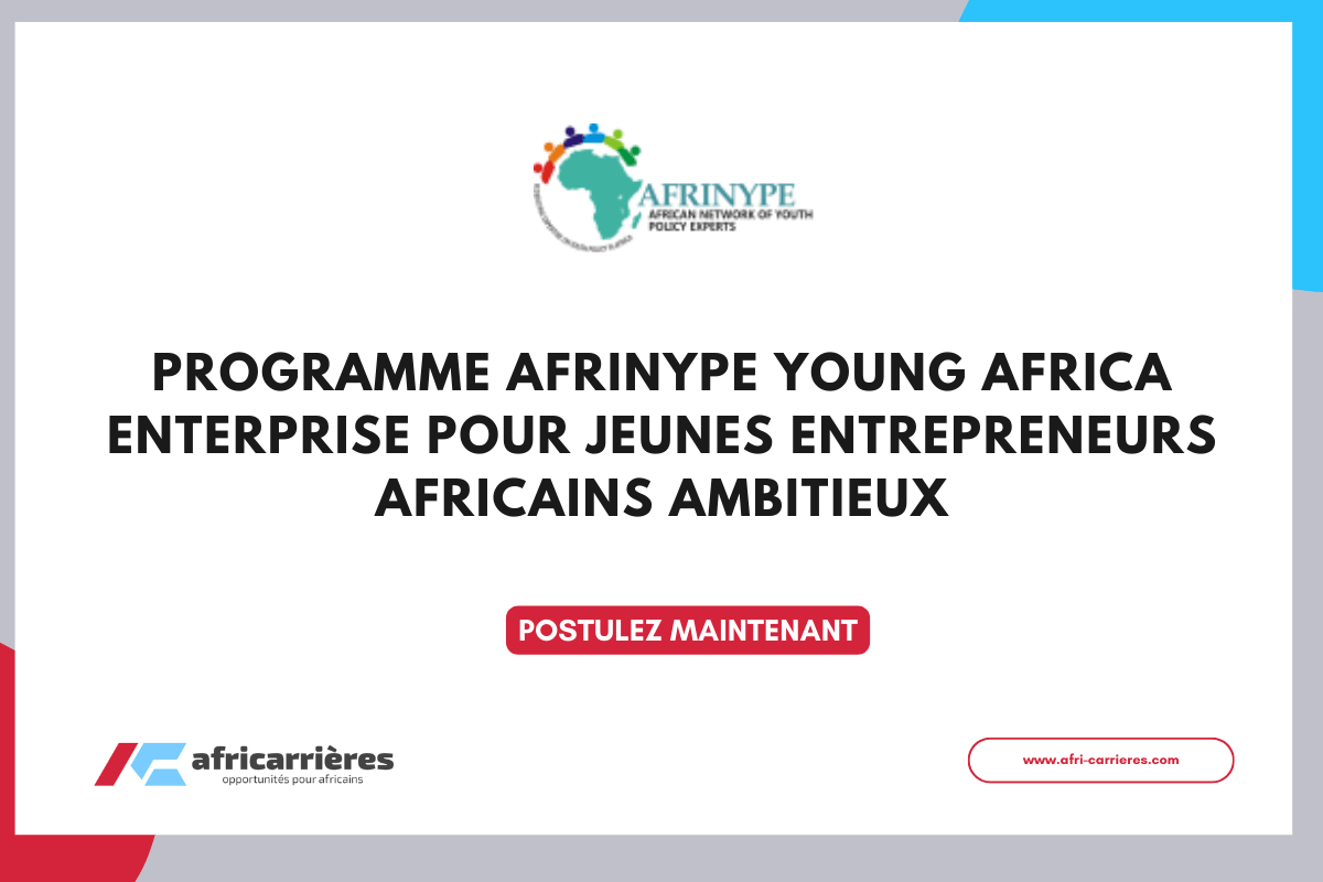 Programme AFRINYPE Young Africa Enterprise pour jeunes entrepreneurs Africains ambitieux