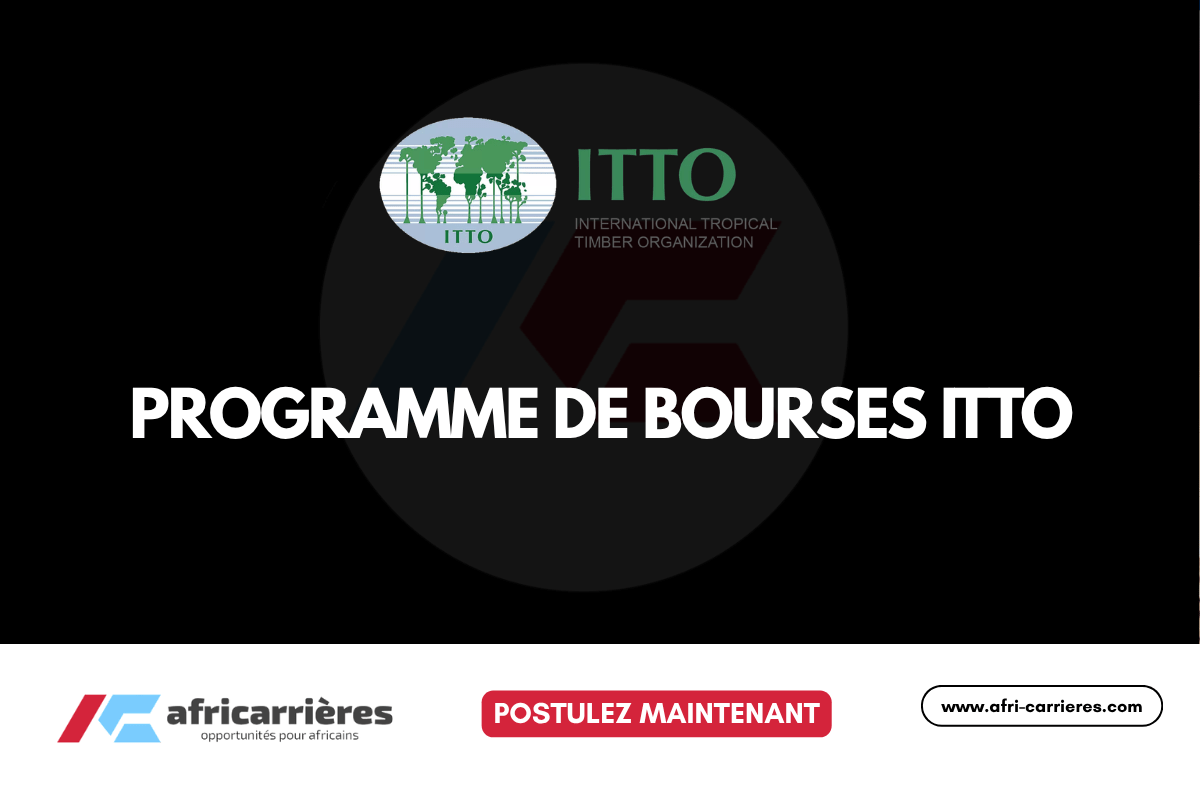 Programme de bourses ITTO 2026 Jusqu’à 10 000 USD pour la gestion durable des forêts tropicales