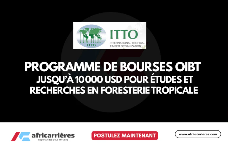 Programme de bourses OIBT 2026 Jusqu’à 10 000 USD pour études et recherches en foresterie tropicale
