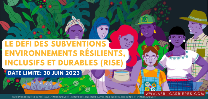 Le défi des subventions RISE Environnements Résilients, Inclusifs et Durables