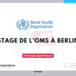 Stage OMS en opérations et technologies numériques à Berlin 2027 2 Stage OMS en opérations et technologies numériques à Berlin 2027