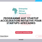 Programme de fellowship Enterprise Africa Network (EAN) 2026 pour startups africaines