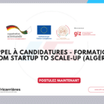 Appel à candidatures – Formation From Startup to Scale-Up (Algérie)