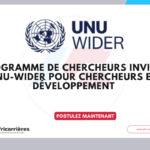 Programme de chercheurs invités UNU-WIDER – automne 2026