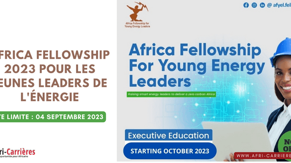 Africa Fellowship 2023 pour les jeunes leaders de lenergie 1