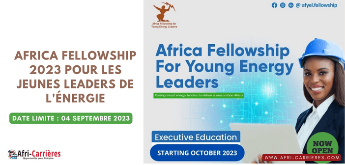 Africa Fellowship 2023 pour les jeunes leaders de l'énergie