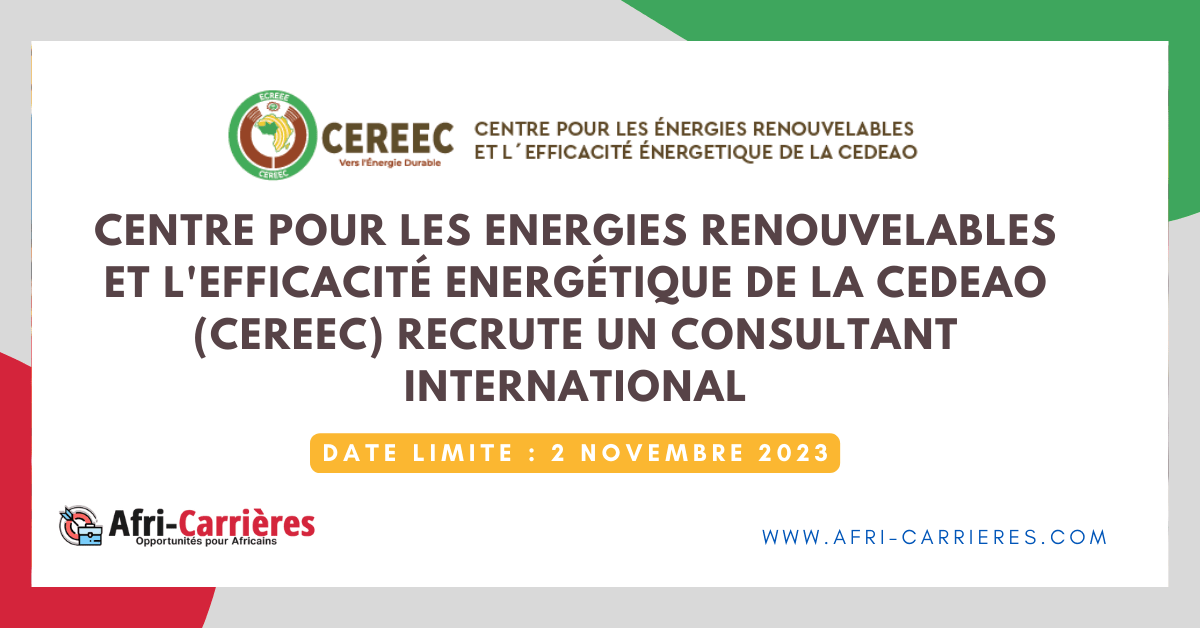 CECREEC recrute un consultant international