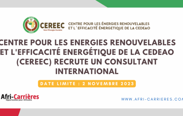 CECREEC recrute un consultant international 1 1