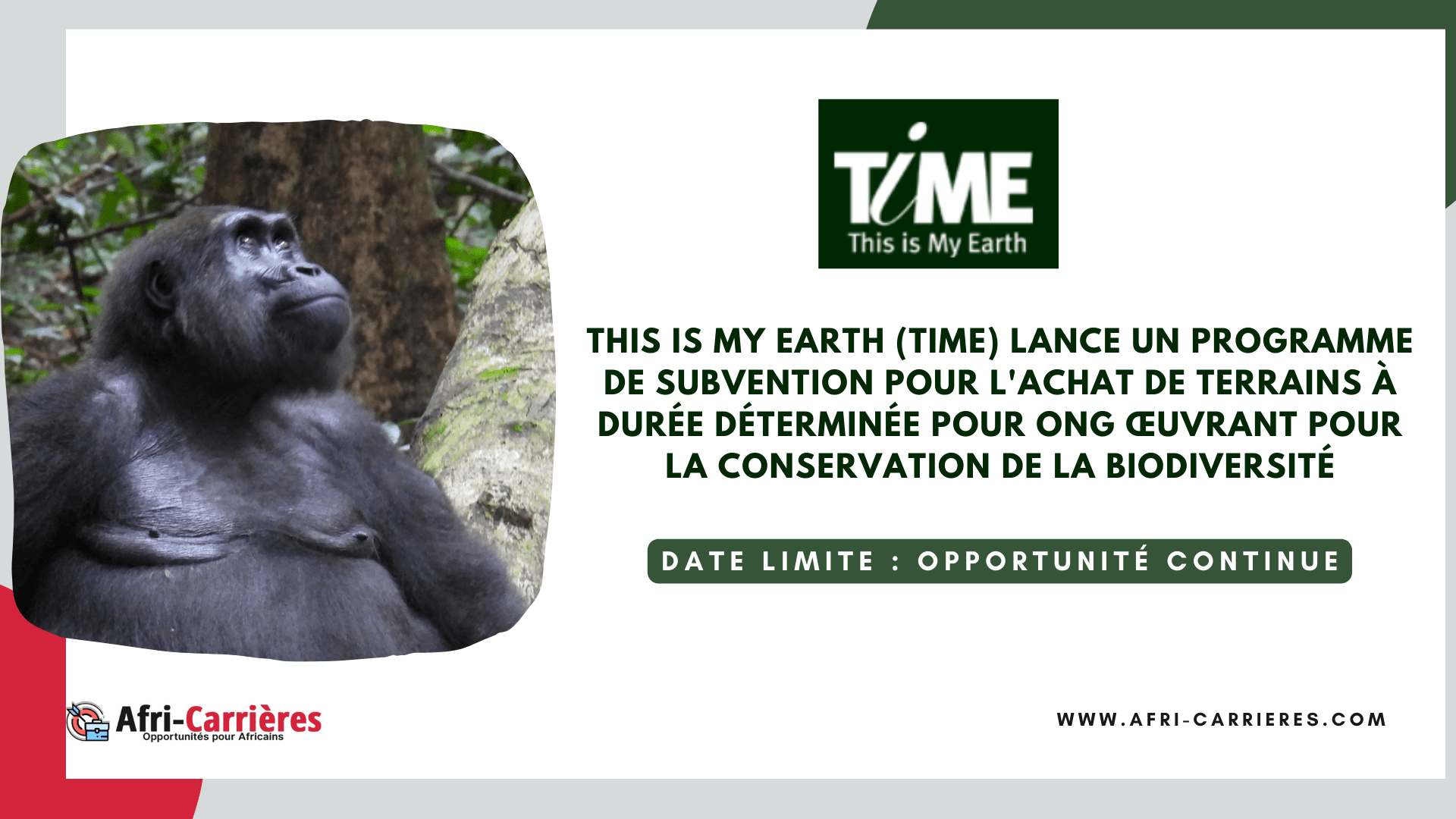 Subventions This is My Earth pour ONG