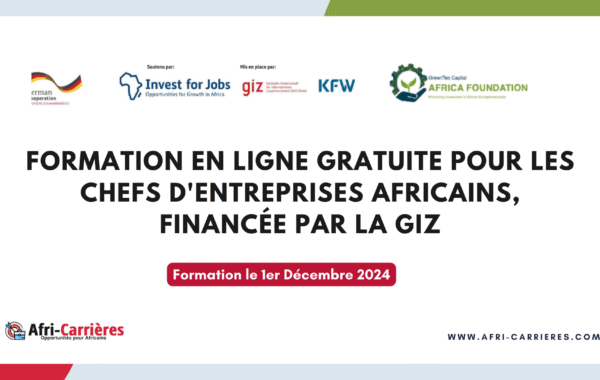 formation en ligne gratuite GIZ 1