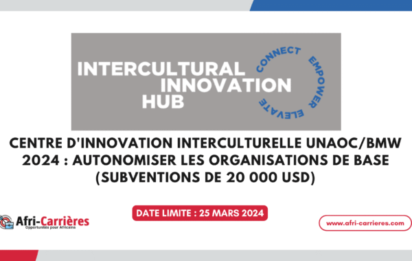 Centre dinnovation interculturelle 1
