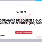 Programme de bourses Global Innovation Index (GII) WIPO 2026 à Genève 6 Programme de bourses Global Innovation Index (GII) WIPO 2026 à Genève