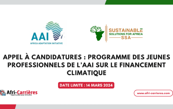 Programme des jeunes professionnels de lAAI sur le financement climatique 1