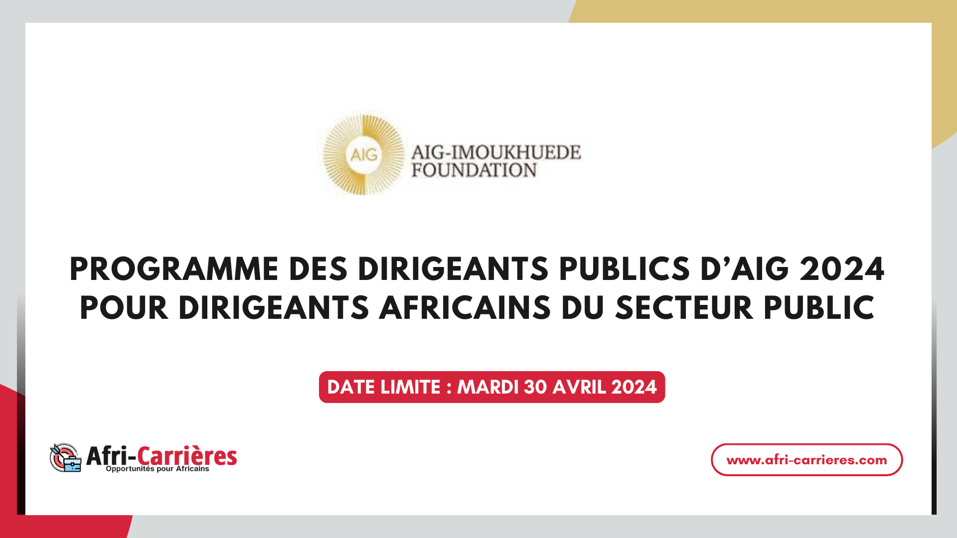 programme AIG Public Leaders