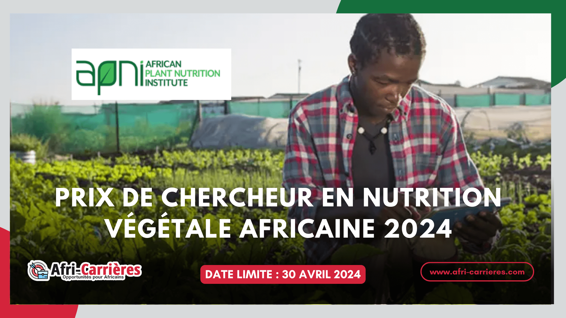 Prix De Chercheur En Nutrition Végétale Africaine 2024 
