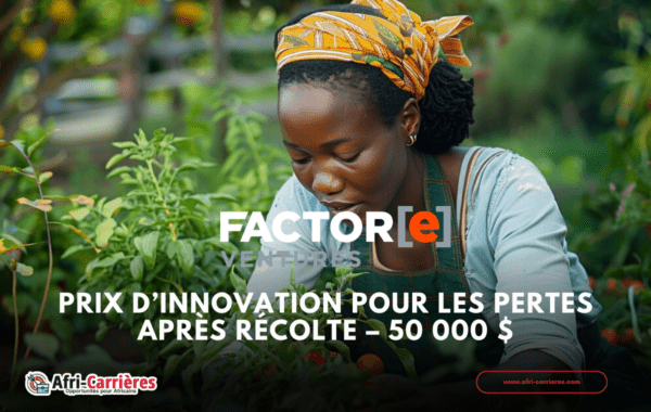 Prix dinnovation pour les pertes apres recolte – 50 000