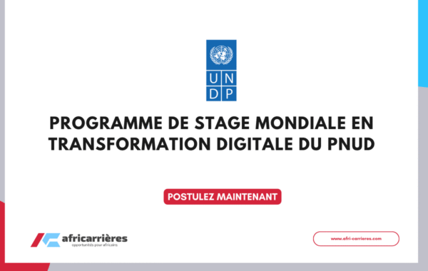 Appel a candidature Programme de Stage Transformation Digitale 2025 du PNUD