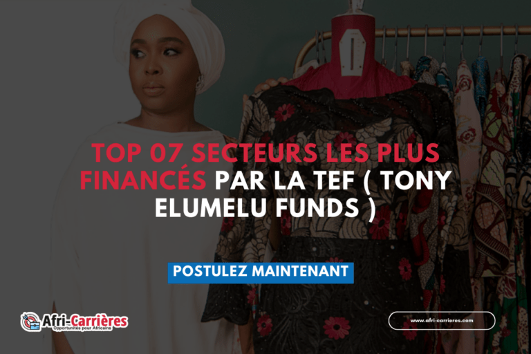 Top 07 secteurs les plus financés par la TEF ( Tony Elumelu Funds )