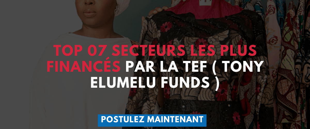 Top 07 secteurs les plus finances par la TEF Tony Elumelu Funds 1 1