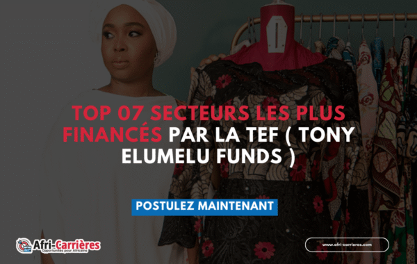 Top 07 secteurs les plus finances par la TEF Tony Elumelu Funds 1 1